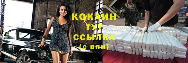 сатива Снежногорск