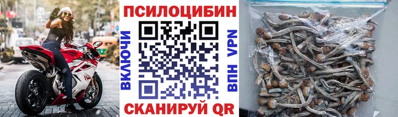 KRAKEN ТОР  Аксай  Галлюциногенные грибы мицелий 