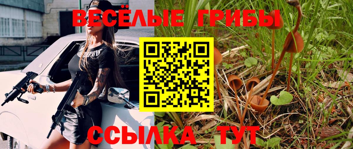 Псилоцибиновые грибы MAGIC MUSHROOMS  Вход с VPN  Аксай 